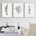 Eucalyptus Plant 3 Sets Gold Frame Canvas Wall Art 40cm x 60cm